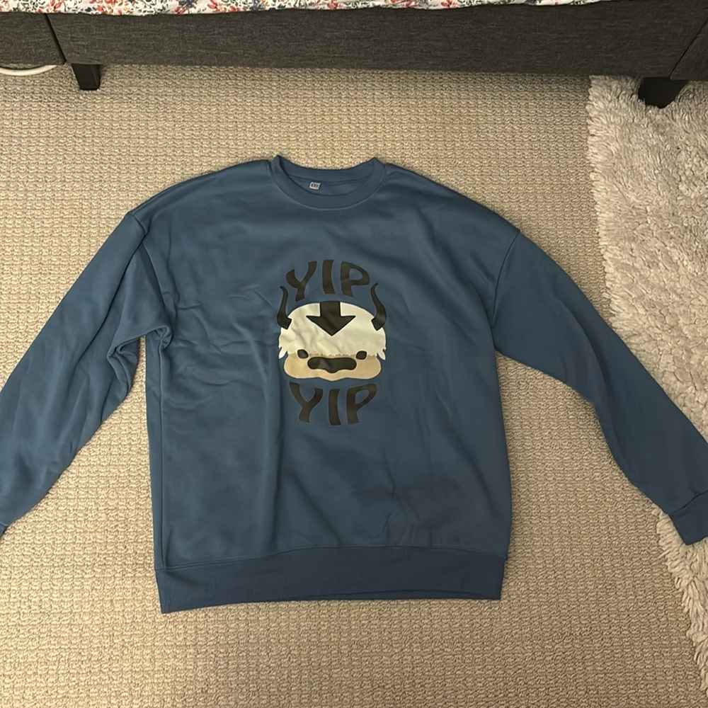 Avatar the last airbender sweatshirt. Size XXL, blue.